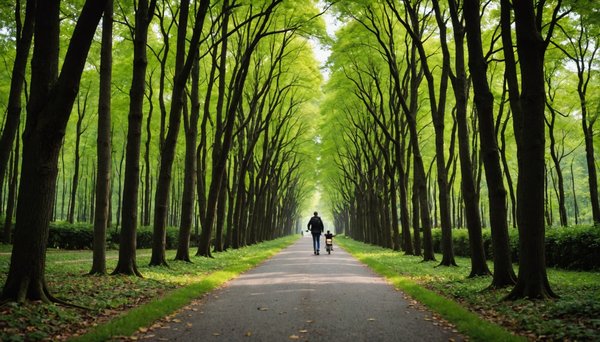 comment les petites victoires transforment les trajectoires de vie